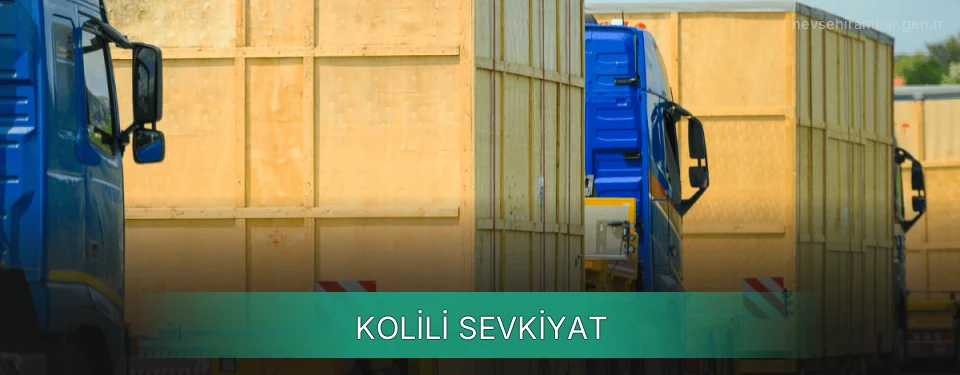 Nevşehir Kolili Sevkiyat Ambar Firmaları